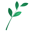 leaf2.gif